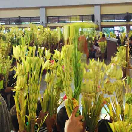 Blessing of Palms and Reading of the Passion of Christ Ushers in the Holy Week