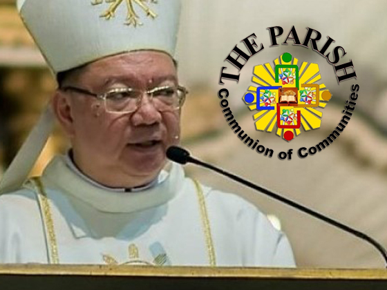 Bishop Mercado Opens the Year of the Parish in the Diocese of Parañaque