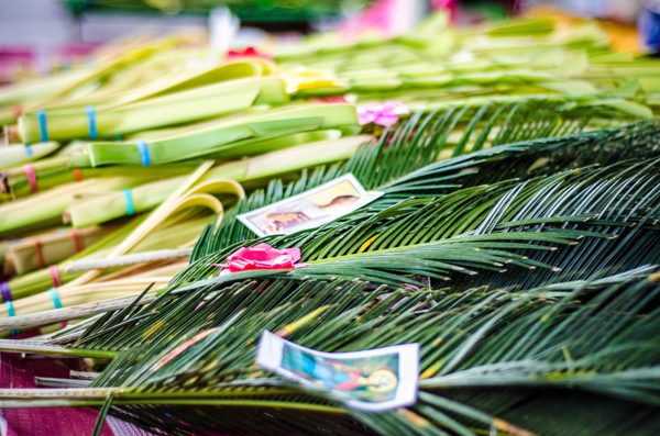 St. Peregrine Laziosi Parish Celebrates Palm Sunday