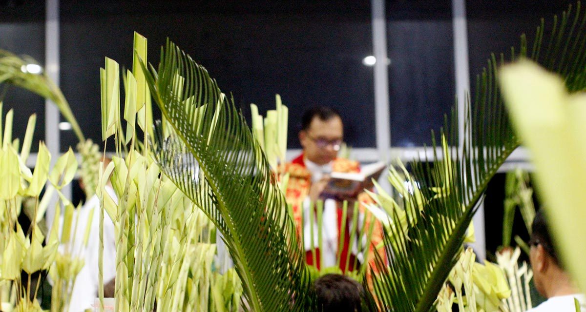 Blessing of Palms Heralds in the Holy Week