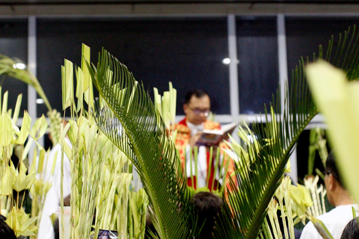 Blessing of Palms Heralds in the Holy Week