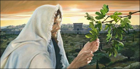 “The Hopeful and Patient Gardener” 3rd Sunday in Lent ~ March 24, 2019