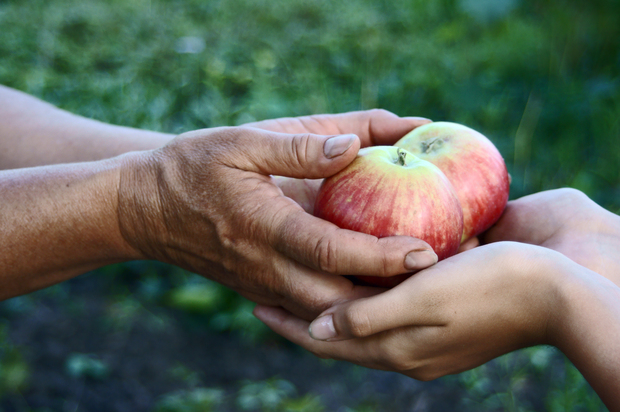 “Humility is Generosity” 22nd Sunday in Ordinary Time – September 01, 2019