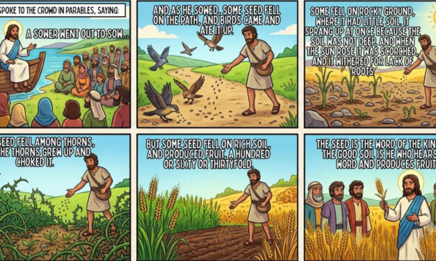 Fifteenth Sunday in Ordinary Time ~ July 12, 2026